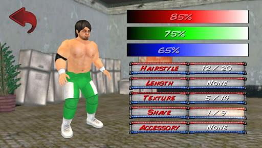 Wrestling Revolution 3D Screenshot 4