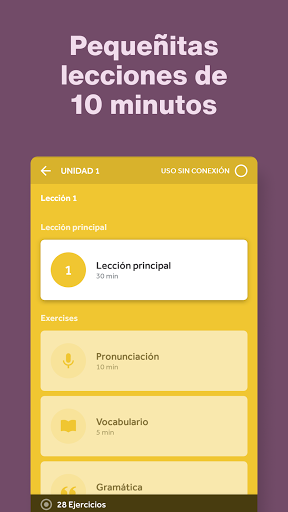 Rosetta Stone Screenshot 4