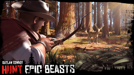 Outlaw Cowboy Screenshot 4