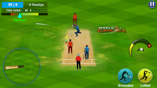 Campeonato Mundial de Cricket Screenshot 6