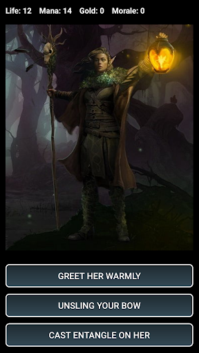 Dungeons and Decisions RPG Captura de tela 2