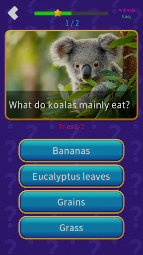 Juego de Quiz Screenshot 3
