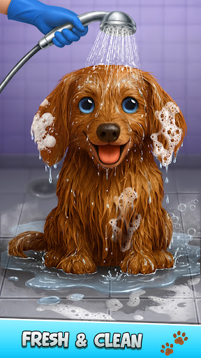 Pet House Cleaning Screenshot 3