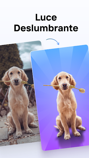 Photoroom: Photo Editor Screenshot 3