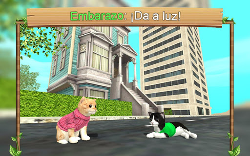 Cat Sim Online Screenshot 3