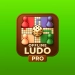 Descargar Offline Ludo Pro