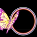 Descargar dreamgum POP