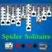 Icono de Spider Descargar Spider