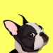 Baixar EveryDoggy－treinamento de cachorro