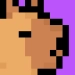 Download Wild Rush