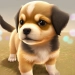 Descargar Dog Town: Juegos de perros