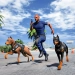 Download Police Car Chase 3D Cop Game