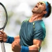 Baixar Ultimate Tennis