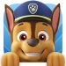 Descargar PAW