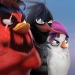 Baixar Angry Birds Evolution