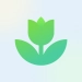Icono de Plant Descargar Plant