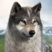 Download Wolf Game: Wild Animal Wars