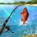 Fishing Clash: スポーツゲームをダウンロード