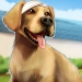 Download PetWorld: Animal Hospital