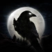Descargar NIGHT CROWS