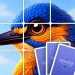 Icono de Solitaire Descargar Solitaire