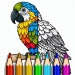 Descargar Juegos de Pintar y Colorear