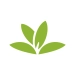 Icono de PlantNet Descargar PlantNet