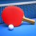 Download Ping Pong Fury