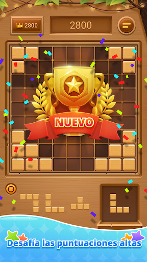 Wood Block Puzzle-SudokuJigsaw Screenshot 3